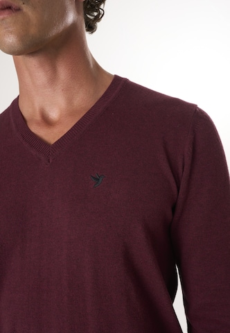 Pullover di Felix Hardy in rosso