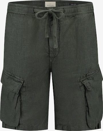 Dstrezzed Regular Cargo Pants 'Logan' in Green: front