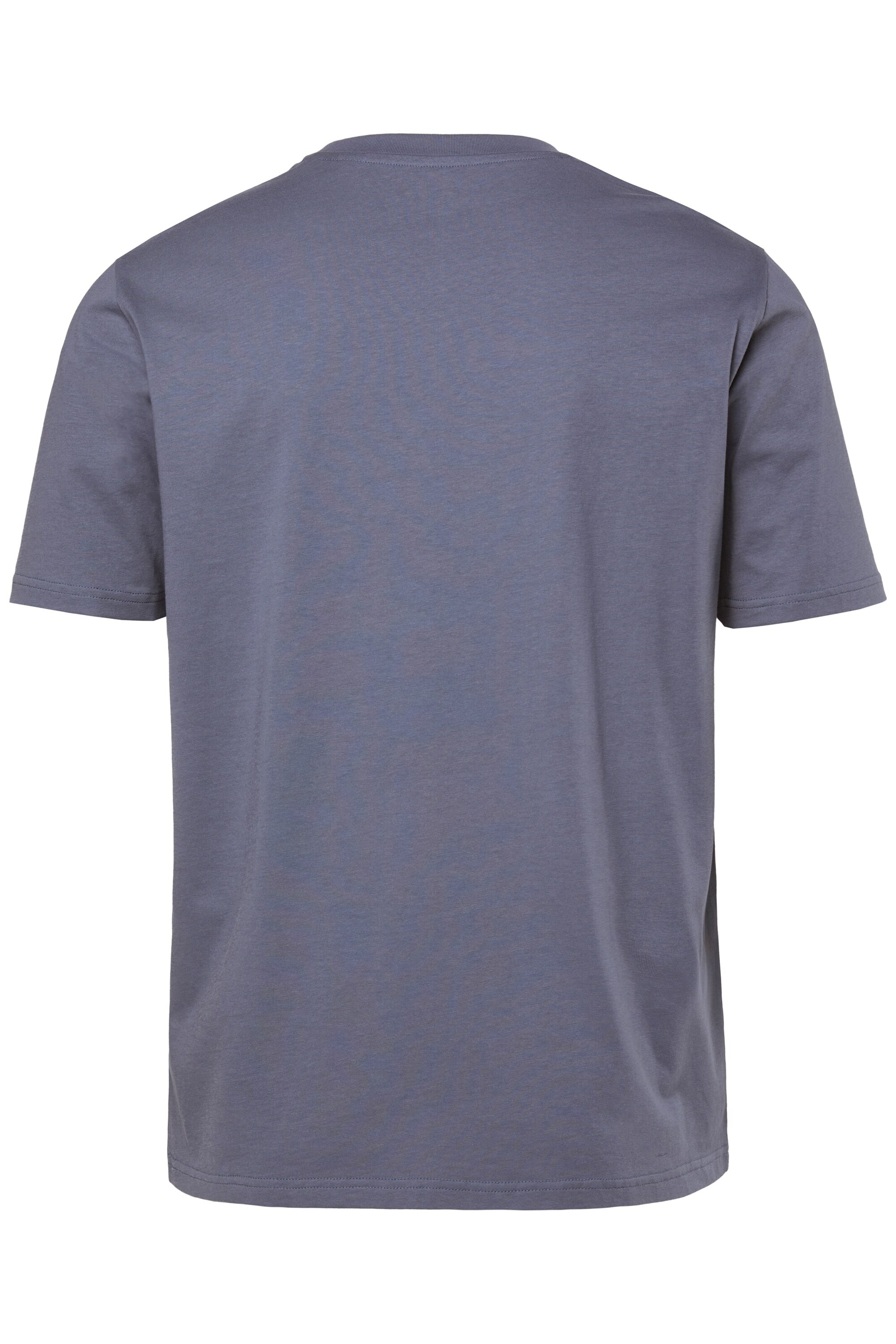 Men Plus Shirt in Blue