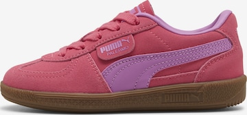 PUMA Trainers 'Palermo' in Pink: front