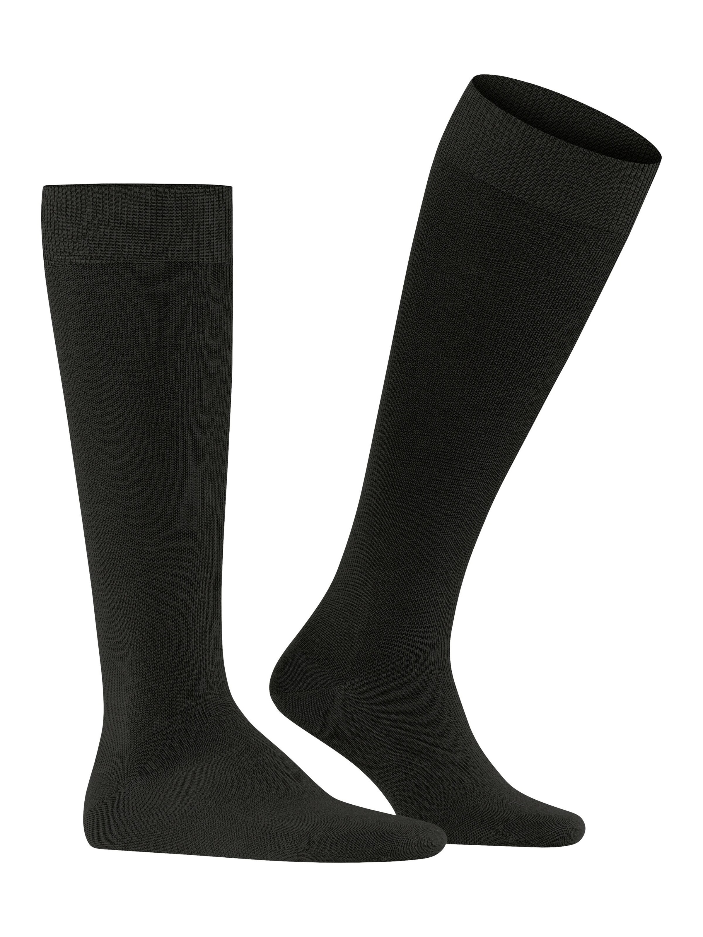 FALKE Knee High Socks 'Energizing Wool' in Brown