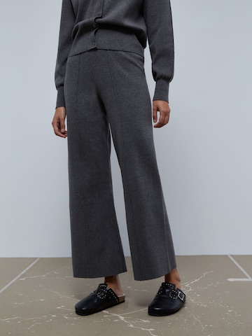 Scalpers Wide leg Trousers in Grey