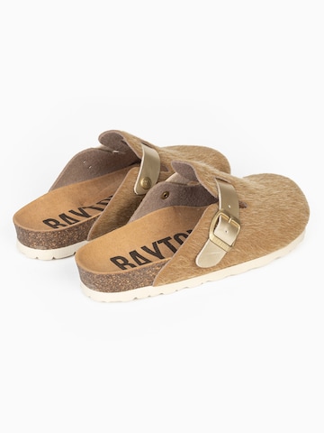 Bayton Cokle 'MOKE' | rjava barva