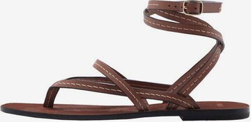 MANGO Strap Sandals 'Tiza' in Brown: front