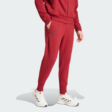 ADIDAS PERFORMANCE Regular Workout Pants 'Belgium Travel' in Red: front