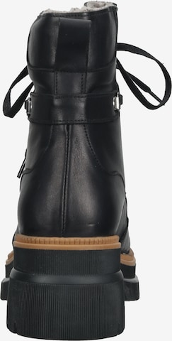 ILC Lace-Up Ankle Boots in Black