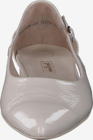 Paul Green Ballet Flats in Beige