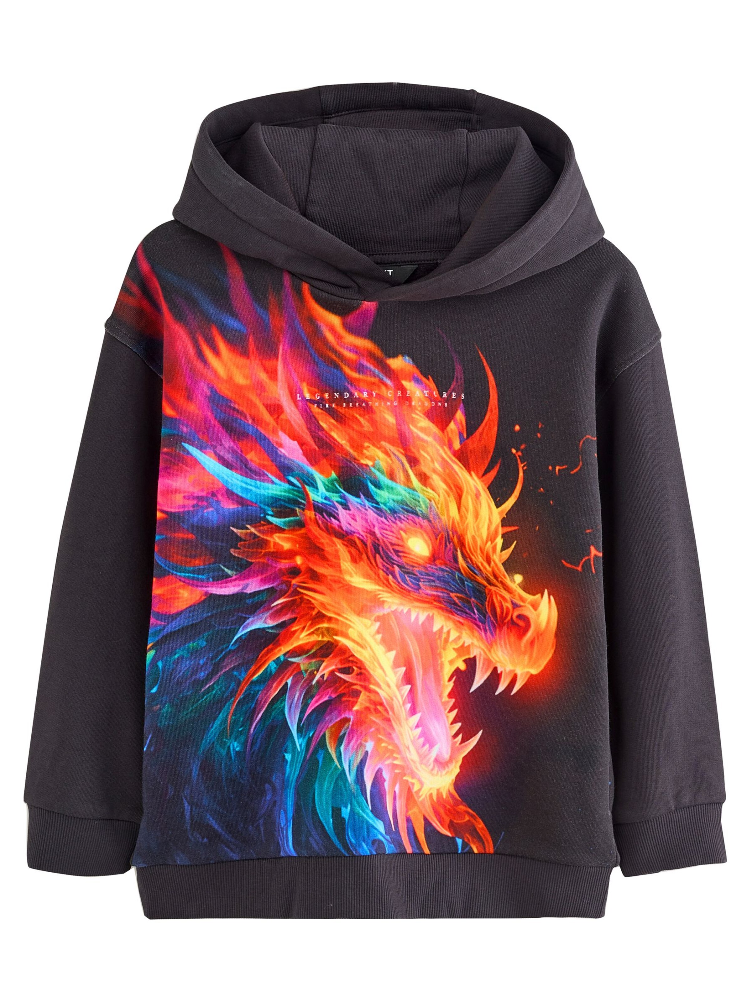 Next Sweatshirt in Schwarz: Vorderseite