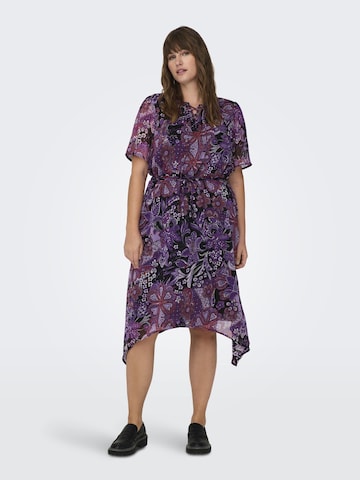 ONLY Carmakoma Dress in Purple: front