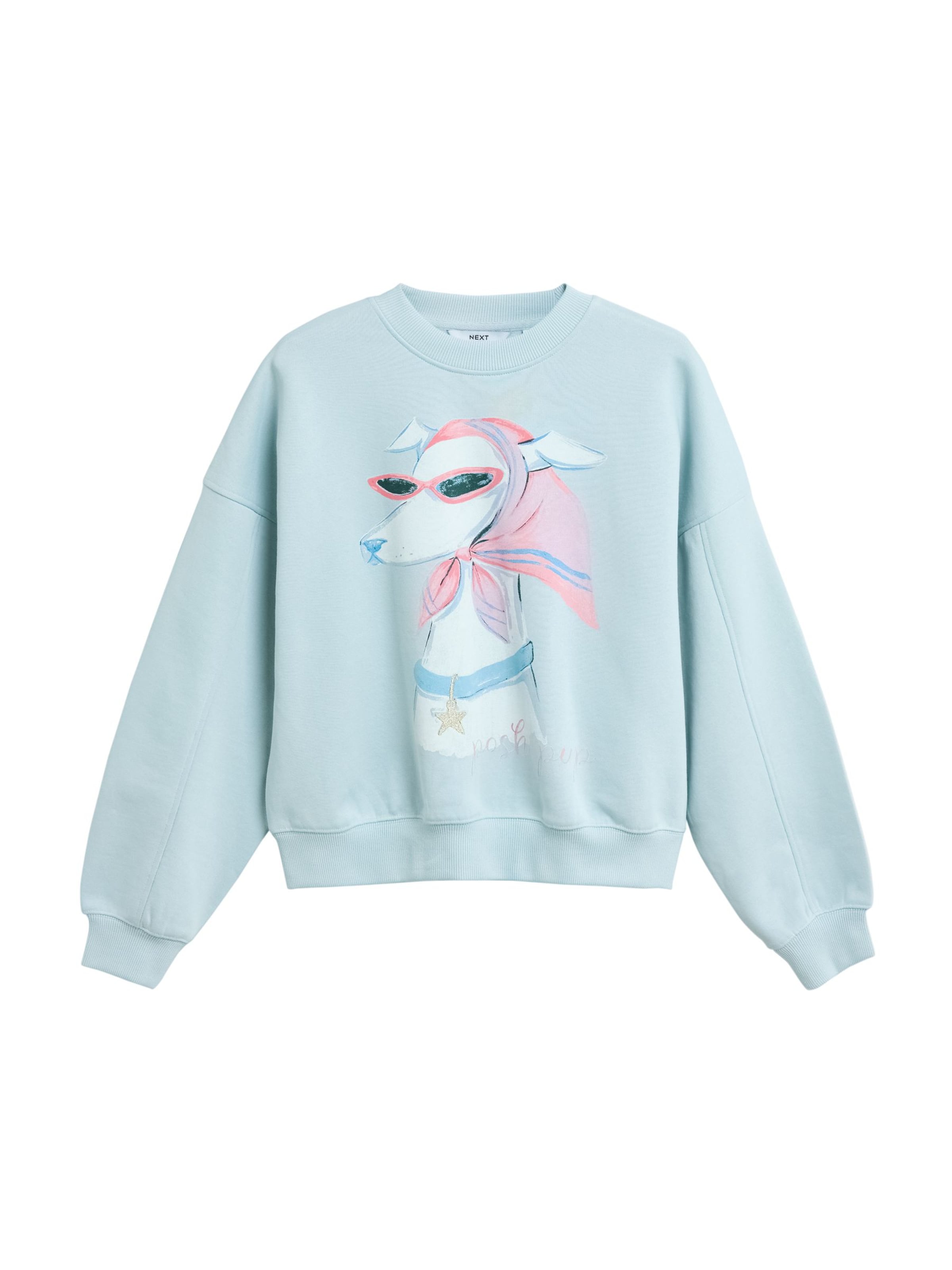 Next Sweatshirt i XS i himmelsblå / ljusblå / grön / ljusrosa, Produktvy