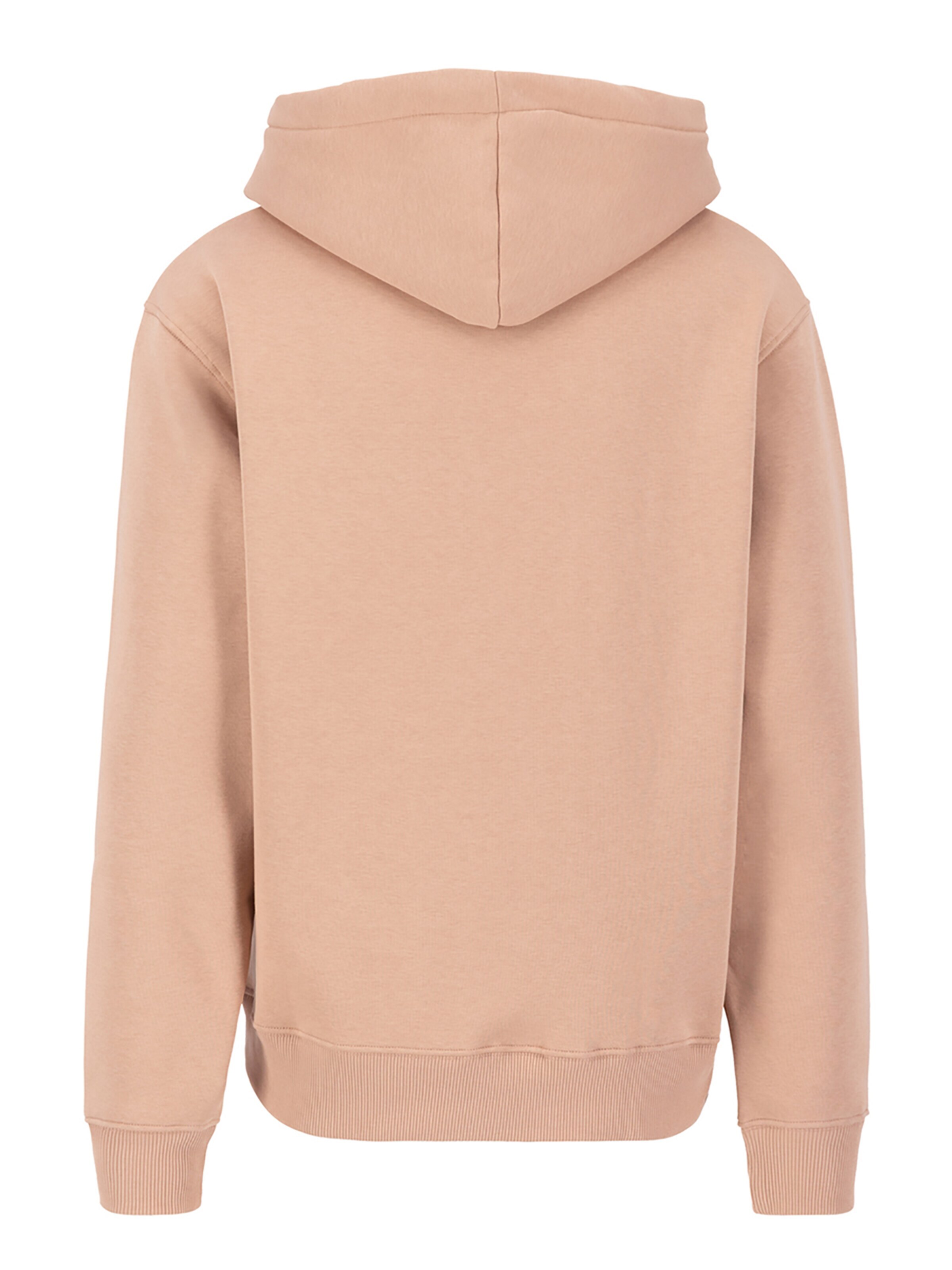 ALPHA INDUSTRIES Sweatshirt 'Basic'‌ in Orange