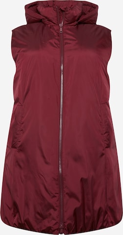 SAMOON Bodywarmer in Rood: voorkant