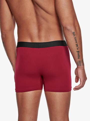 Adam Boxershorts '3er Pack'‌ in Rot