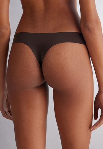 INTIMISSIMI Panty in Brown
