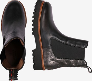 Crickit Chelsea Boots 'NOLA' in Black