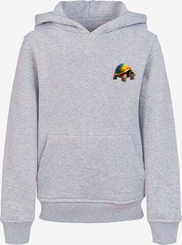 F4NT4STIC Sweatshirt 'Rainbow Turtle' in Grey: front