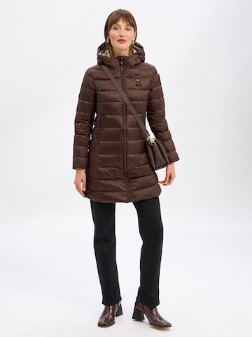 Blauer.USA Winter coat in Brown