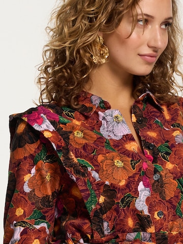 Robe-chemise 'Santiago' Shiwi en mélange de couleurs