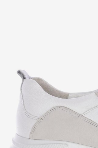 Paul Green Sneakers & Trainers in 39,5 in White