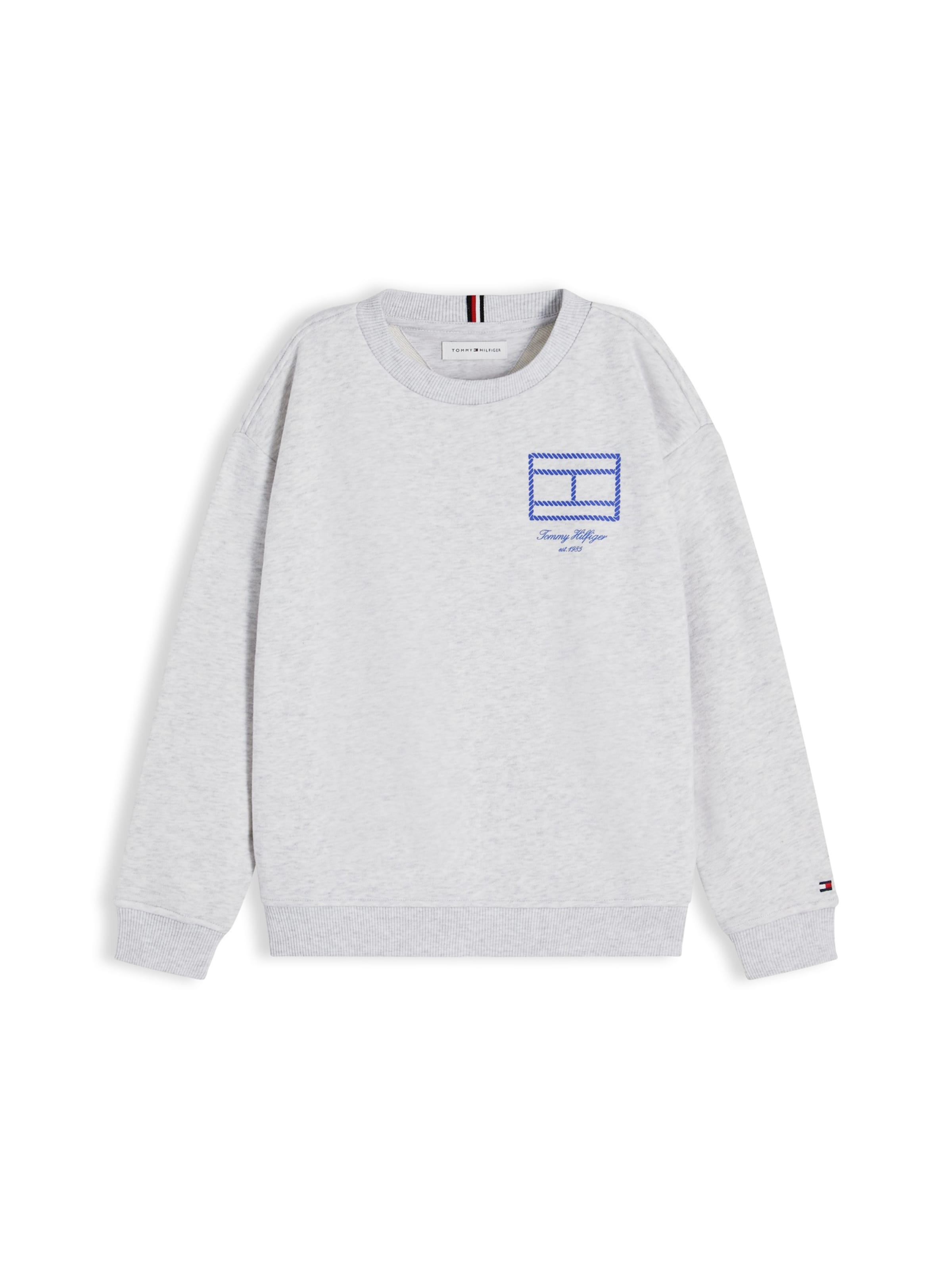 TOMMY HILFIGER Sweatshirt in Grijs: voorkant