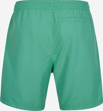 O'NEILL Kopalne hlače | zelena barva