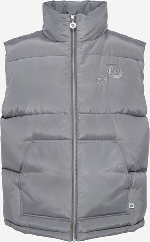 Gilet di Bless my Demons exclusive for ABOUT YOU in grigio: frontale