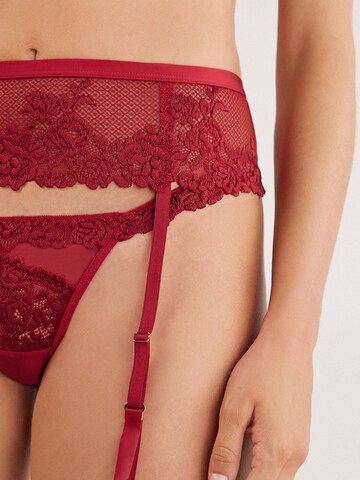INTIMISSIMI Garter Belt in Red