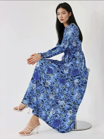 Hiccup Kleid in Blau