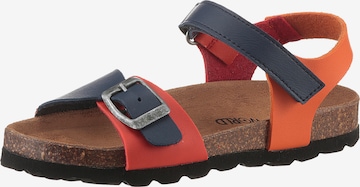 Kidsworld Sandals & Slippers in Orange: front