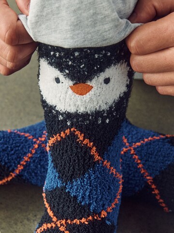 Chaussettes Next en bleu
