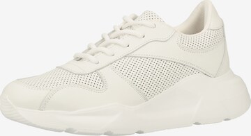 Sneaker bassa di Steven New York in bianco: frontale