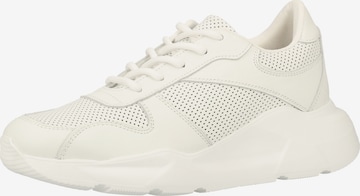 Sneaker bassa di Steven New York in bianco: frontale