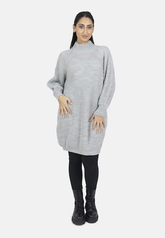 Elara Knit dress in Grey: front