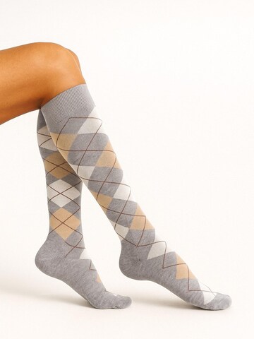 Lycille Knee High Socks in Grey