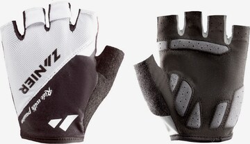 Zanier Full Finger Gloves 'CYCLING TEAM GLOVE' in Black: front