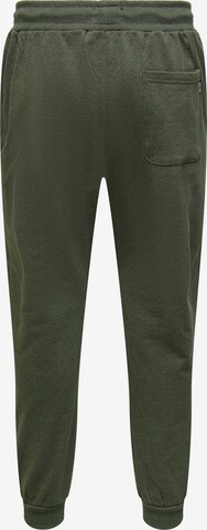 Only & Sons Tapered Hose 'Tom' in Grün