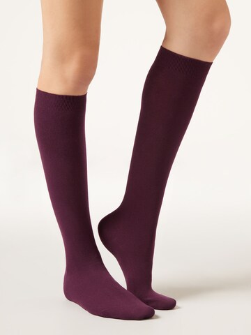 CALZEDONIA Socks in Red: front