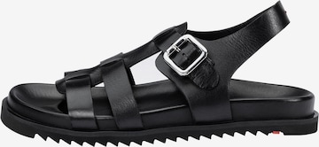 LLOYD Riemchensandale in Schwarz: Vorderseite