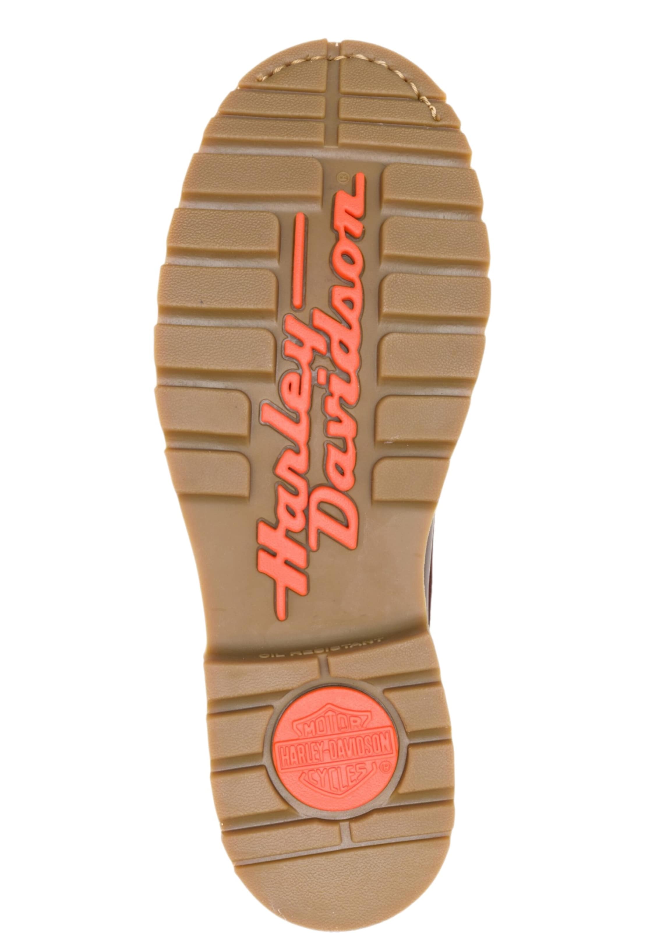 Harley Davidson - Bota com atacadores em castanho