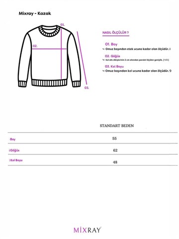 MixRayPulover 'Pullover' - zelena boja