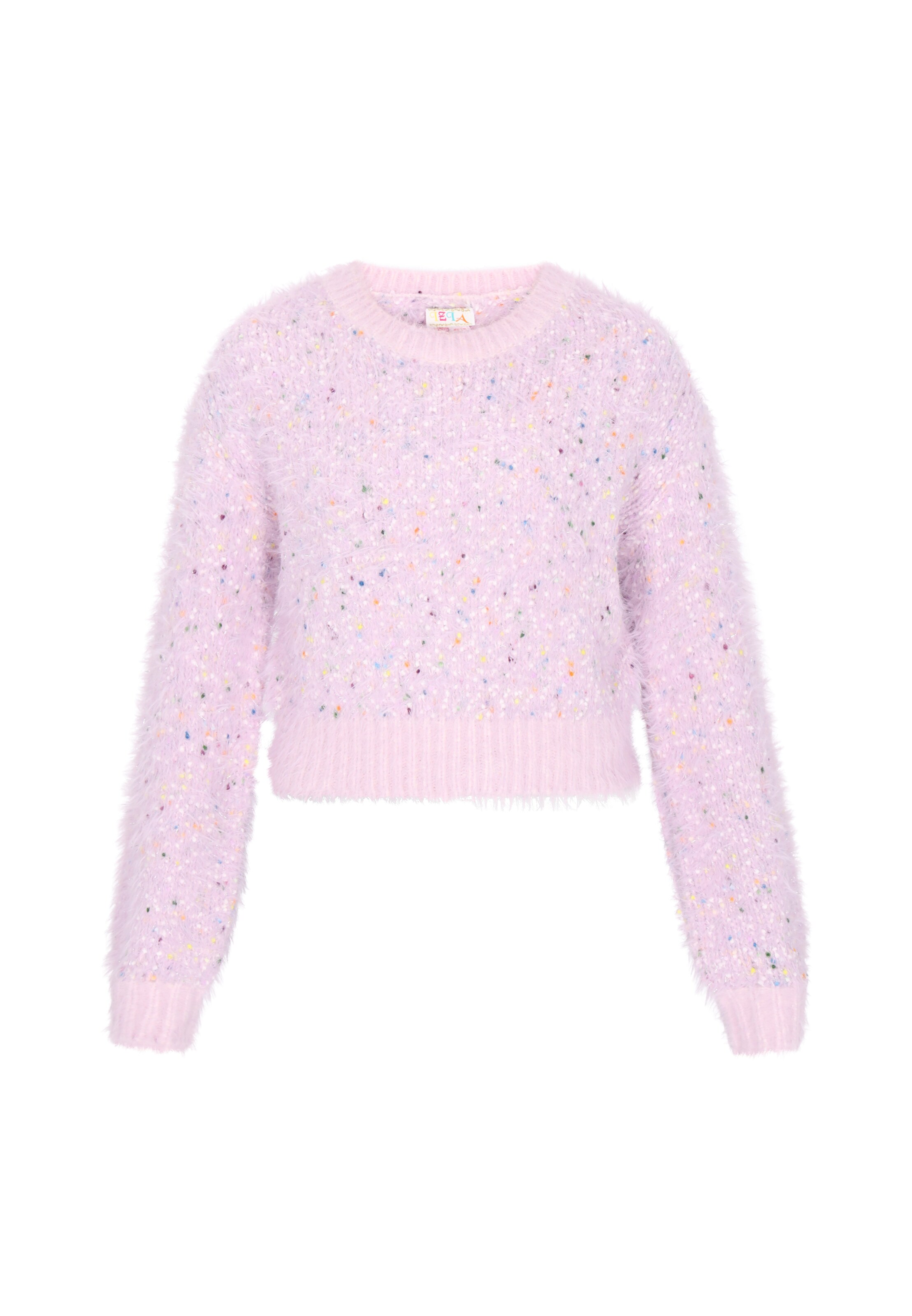 IZIA Sweater in Purple: front