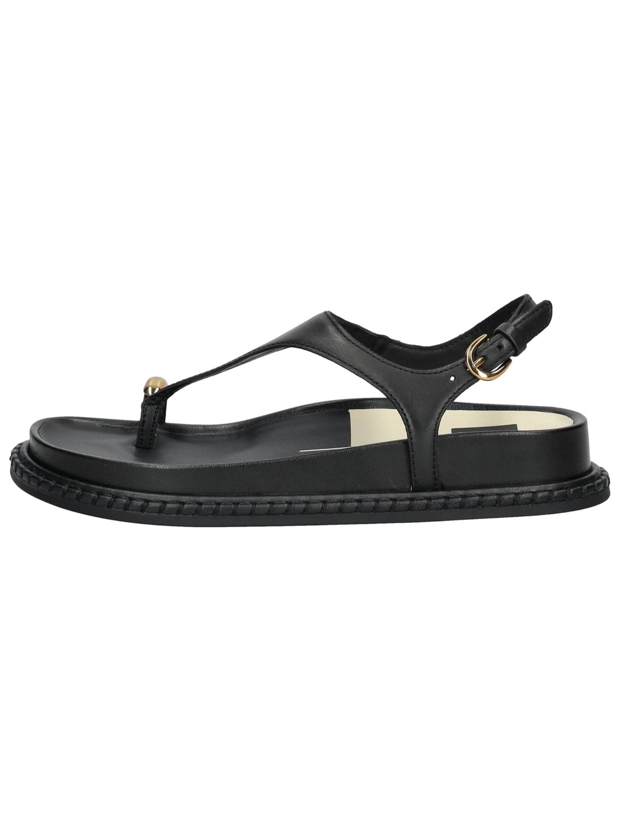 Dolce Vita Zehentrenner in Schwarz