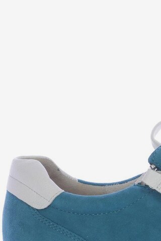 GABOR Sneakers & Trainers in 39,5 in Blue