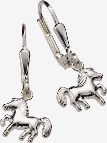 Zeeme Ohrringe in Silber: Vorderseite