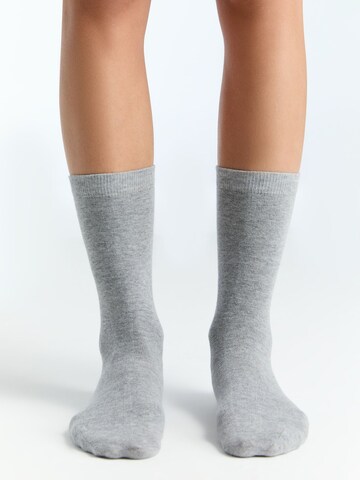 Albero Natur Socks in Grey: front