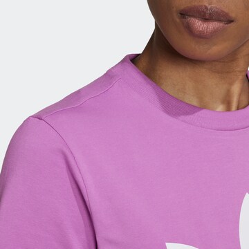 ADIDAS ORIGINALS Koszulka 'Adicolor Classics Trefoil' w kolorze fioletowy