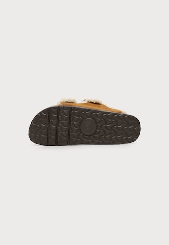 BIRKENSTOCK Pantofle 'Arizona' – hnědá