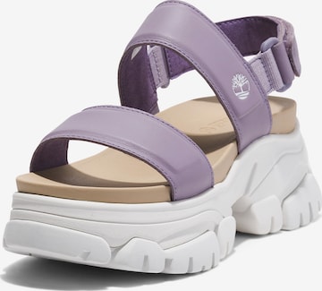 TIMBERLAND Strap Sandals 'Adley' in Purple: front