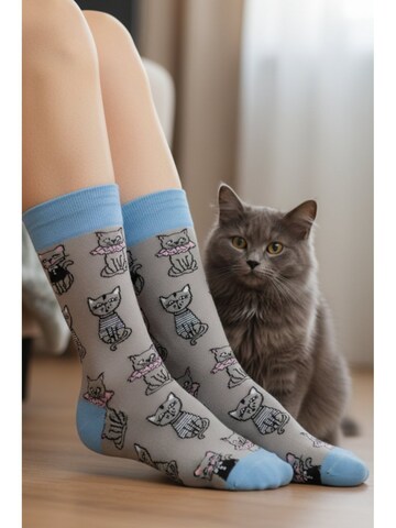 Sokisahtel Socks 'READY cotton socks with cats' in Mixed colours: front