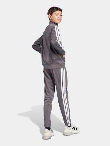 ADIDAS SPORTSWEAR Tréningruha 'Seasonal Essentials Tiberio' - szürke